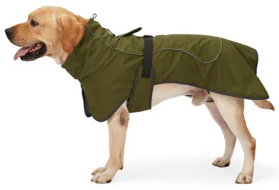 Produktbild von Wasserdichter Hundemantel mit Fleecefutter, winddicht, reflektierend, Armeegrün L