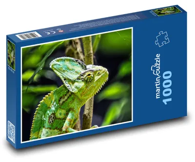 Zdjęcie produktu dla martinpuzzle - Puzzle 1000 - Chamleonek w dżungli