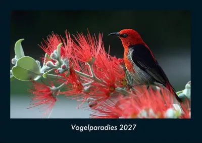 Produktbild von Vogelparadies 2027 Fotokalender DIN A4