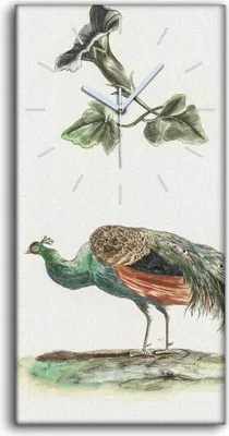 Produktbild von Dekor Leinwand Uhr Wandbilder 30x60 Zeichnung Tier Vogel Pfau Blumen Kunst - weiße Hände