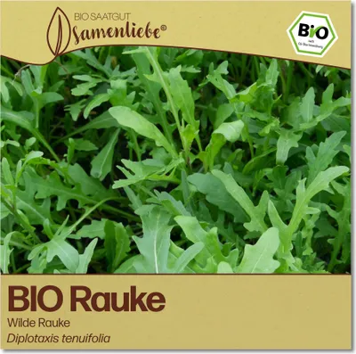 Produktbild von Rauke Samen Wilde Rauke Kräuter-Samen Saatgut Raukesamen