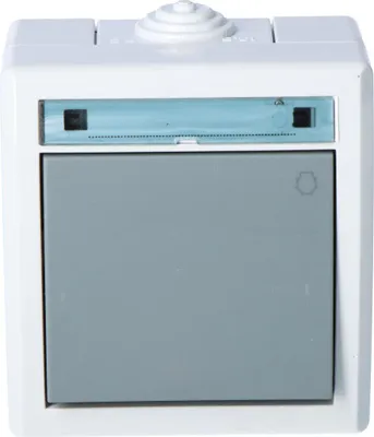 Produktbild von Lichtschalter, Aufputz, IP55, grau, AQUANT