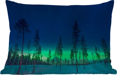 Produktbild von MuchoWow® Outdoor Kissen - Nordlicht - Schnee - Bäume - Natur - Grün - 50x30 cm - Wetterfest - Lounge Kissen - Sofa kissen - Wohnzimmer Dekoration