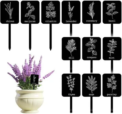 Produktbild von 24 Pflanzenschilder – Wasserdichte Etiketten – Plexiglas-Beschriftungen – Markierungen für Garten/Kräuter – 12 verschiedene Designs – Für den Außenbereich – Pflanzenschilder