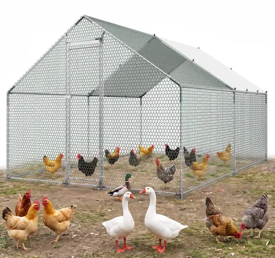 Produktbild von VEVOR Hühnerstall 3x4x2 m, Begehbarer Hühnerauslauf mit Abdeckung, Hühnerhaus mit Turmdach & Sicherheitsschloss, Enten- & Kaninchenkäfig, Geflügelgehege für Hinterhof, Bauernhof, Hof