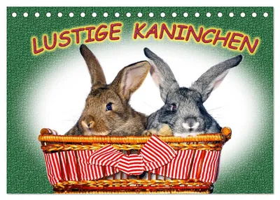 Produktbild von Lustige Kaninchen (Tischkalender 2027 DIN A5 quer), CALVENDO Monatskalender