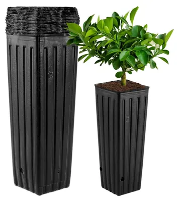 Image de 50 pots de fleurs en plastique, de profondeur standard, avec trous de drainage