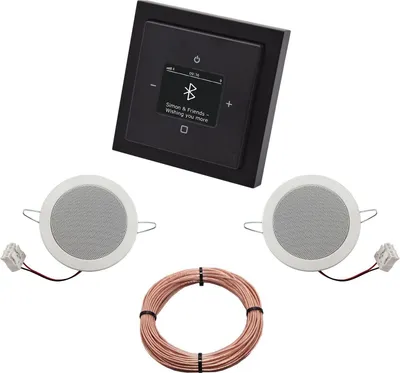 Produktbild von Busch Jäger BT Radio 8217U-101 Future schwarz mit Deckenlautsprecher
