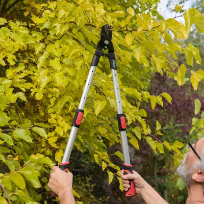 Produktbild von KREATOR Baumschere Typ Bypass Astschere Gartenschere 63 - 89 cm Leicht Aluminium - 180% Bypass Teleskop