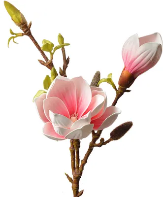 Produktbild von Clayre & Eef Kunstblume 70 cm Rosa Kunststoff