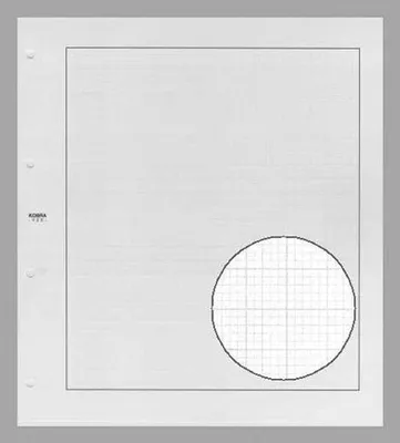 Produktbild von 10x KOBRA-Blankoblatt, mit Netzdruck Nr. V2E