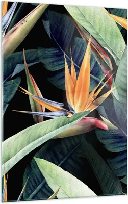 Produktbild von Bilder auf glas - Einteilig - Pflanze Tropisch Blume - 50x70cm - Glasbilder - Wandbilder - Bilder - zum Aufhängen bereit - Wanddekoration aus Glas - Glas Bilder - Wandbild auf Glas - GPA50x70-5093