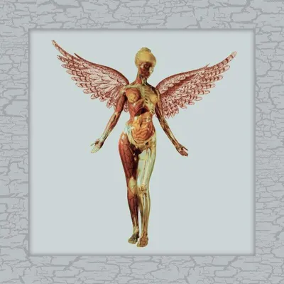 Zdjęcie produktu dla Nirvana - In Utero (Limited Edition) (Deluxe Edition) (180 g) (8 LP)