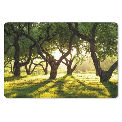 Produktbild von MuchoWow® Mauspad Mousepad Bäume - Natur - Sonne 27x18 cm - Mousepads - Maus Mat - Pad - Mausunterlage - Büroartikel - Desk Matten
