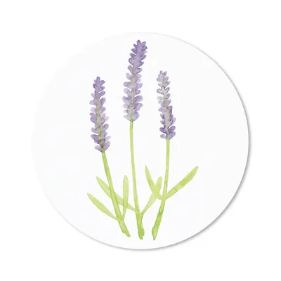 Produktbild von MuchoWow® Mauspad Mousepad Lavendel - Aquarell - Pflanzen 40x40 cm - Mousepads - Maus Mat - Pad - Mausunterlage - Schreibtisch Accessoires