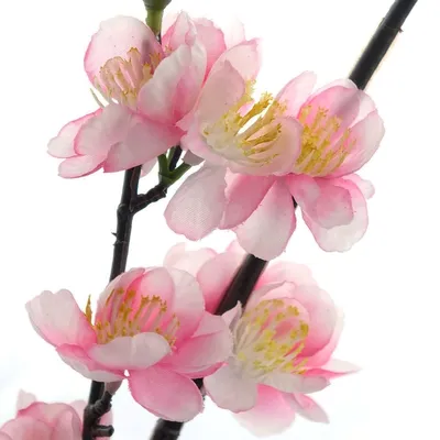Produktbild von DPI Oster-Deko Kirschblütenzweig Pink 102 cm - Kunstblumen