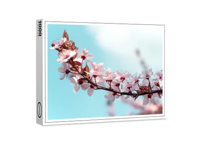 Image de puzzle raxxa Premium "Le temps du printemps", 1000 pièces