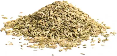 Produktbild von Fenchel ganz - grün: 50g Gewicht: 50g