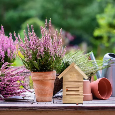 Produktbild von Marienkäferhotel für den Garten - Aufhängen - Holz - Natürlich braun