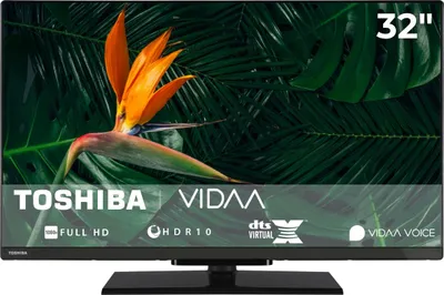 A television screen displaying a tropical flower and foliage, with brand logos and feature text overlaid.