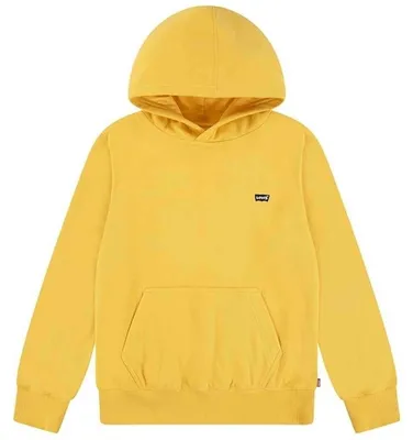 Produktbild von Hoodie Levi's LVB MINI BATWING PULL OVER HOO für Jungen