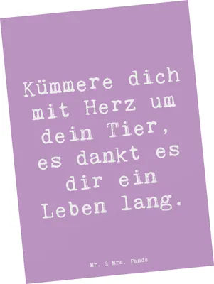 Produktbild von Mr. & Mrs. Panda Grußkarte Spruch Haustiere pflegen - Lavendeltraum - Geschenk, bildkarte, Mutmacher, liebevolle Tierpflege, Kümmere dich mit Herz um dein Tier, Trost