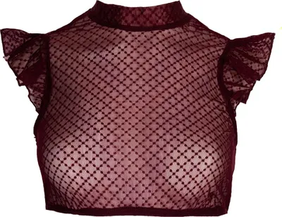 Produktbild von Dirndlbluse Bahar Flügelarm bordeaux 32