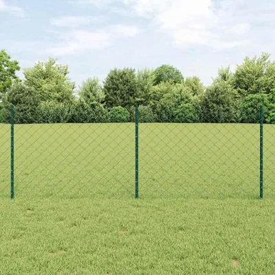 Immagine prodotto di Recinzione in filo metallico con pali, 25 x 0,8 m, acciaio zincato, colore verde