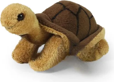 Produktbild von Kuscheltier Schildkröte braun/beige 13 cm Plüschschildkröte