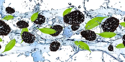 Produktbild von Tulup® Glas-Bild - 100x50 -Wandkunst - Wandbild hinter gehärtetem Sicherheitsglas  - Essen & Getränke - Brombeeren Wasser - Schwarz