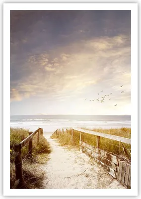 Produktbild von Poster - Poster ohne Rahmen - Meer Weg Strand - 70x100 cm - Wand Bild - Wanddeko - Wandbilder - Kunstposter - Wandposter - Bilder - Kunstdruck - Wanddekoration - Wandbild - P2XPA70x100-5190