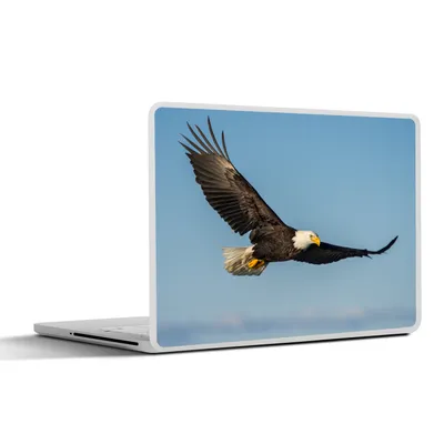 Produktbild von MuchoWow® Laptop Aufkleber Sticker Cover Vogel - Adler - Raubvögel 31x22.5 cm - Laptop-Deko