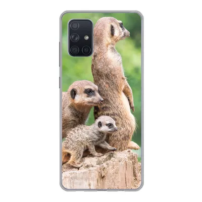 Produktbild von MuchoWow® Handyhülle Schutzhülle Hülle für Samsung Galaxy A51 5G Erdmännchen - Baumstumpf - Jungtier Silikon Softcase Handy Hülle - Abbildung