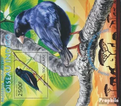 Produktbild von Briefmarken Togo 2013 Mi Block 778 (kompl. Ausgabe) postfrisch Indigovögel (Vidua wilsoni)