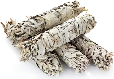 5x Xxl Weißer Salbei White Sage Smudge Stick 24cm 9,5" Salvia Apaina 80g 6723