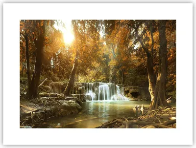 Produktbild von Poster - Poster ohne Rahmen - Park Wasserfall Wasser - 40x30 cm - Wand Bild - Wanddeko - Wandbilder - Kunstposter - Wandposter - Bilder - Kunstdruck - Wanddekoration - Wandbild - P2XAA40x30-3789