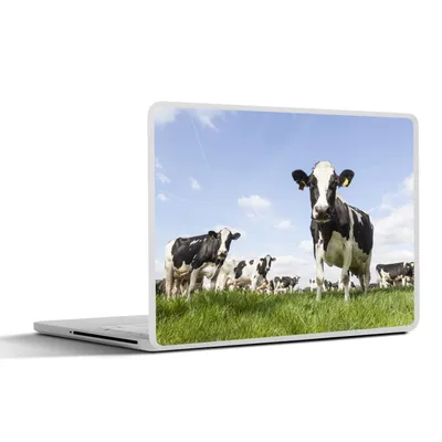 Produktbild von MuchoWow® Laptop Aufkleber Sticker Cover Kühe - Gras - Tiere - Sonne - Bauernhof 40x30 cm - Laptop Dekoration - Selbstklebend