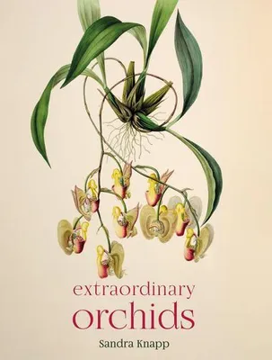 Produktbild von Extraordinary Orchids