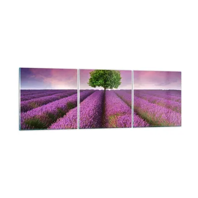 Produktbild von Bilder auf glas - Wiese lavenda Sommer Landschaft - 120x40cm - Glasbilder - Wandbilder - Kunstdruck - zum Aufhängen bereit - Wanddekoration aus Glas - Glas Bilder - Wandbild auf Glas - GCA120x40-2605