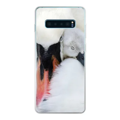 Produktbild von MuchoWow® Handyhülle Schutzhülle Hülle für Samsung Galaxy S10 Plus Nahaufnahme eines Schwans mit Jungen Silikon Softcase Handy Hülle - Schutzhülle