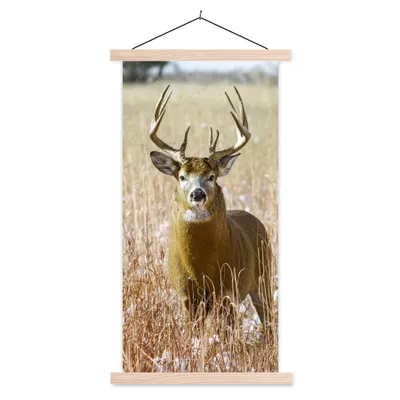Produktbild von MuchoWow® Textilposter Hirsche - Gras - Herbst - Tiere - Natur - Geweih 40x80 cm mit holzfarbenen Rahmen - Wohnzimmer