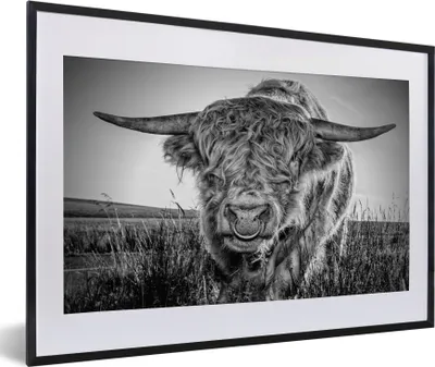 Produktbild von MuchoWow® Gerahmtes Poster Schottischer Highlander - Schwarz und Weiß 60x40 cm - Poster mit Schwarzem Bilderrahmen Wandposter Rahmen Foto Bilder - Schlafzimmer - Plakat in Rahmen - Drucken