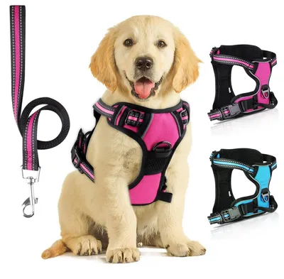 Image de Harnais pour chien avec laisse, réfléchissant, rose, taille S