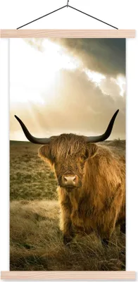 Produktbild von MuchoWow® Textilposter Schottisches Hochlandrind - Sonne - Tiere 60x120 cm mit holzfarbenen Rahmen - Holz