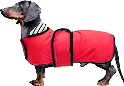 Productafbeelding van Regenjas voor honden met reflecterende strepen, waterdicht, verstelbaar vest, geschikt voor kleine en middelgrote honden, zoals model Red-XS