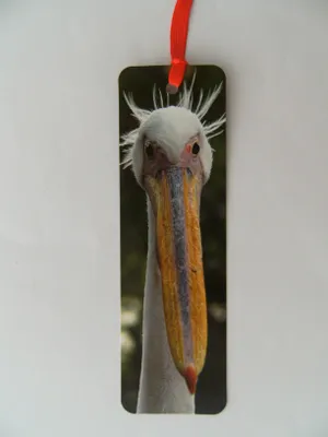 Produktbild von Lesezeichen Pelikan, 14 x 4 cm, Buchzeichen Bookmark Bücher Buch Tier Vogel
