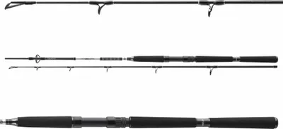 Immagine prodotto di DAIWA BG Offshore Boat, 2.4m, 7.87ft, 150-400g, 2 pezzi, canna da pesca per barca, 11928-242