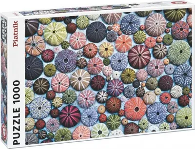Zdjęcie produktu dla Sea Urchin Puzzle 1000 elementów