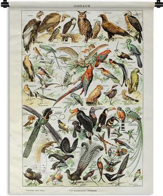 Produktbild von MuchoWow® Wandteppich Wandbehang Tiere - Vogel - Jahrgang 60x80 cm Tapisserie Dekoration Wandtuch - Decke - Wandtücher - Wohne