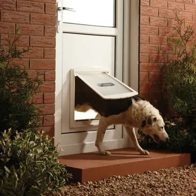 Produktbild von PetSafe Haustiertür 2-Wege 760 Groß 35,6x30,5 cm Weiß